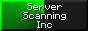 ServerScanningInc